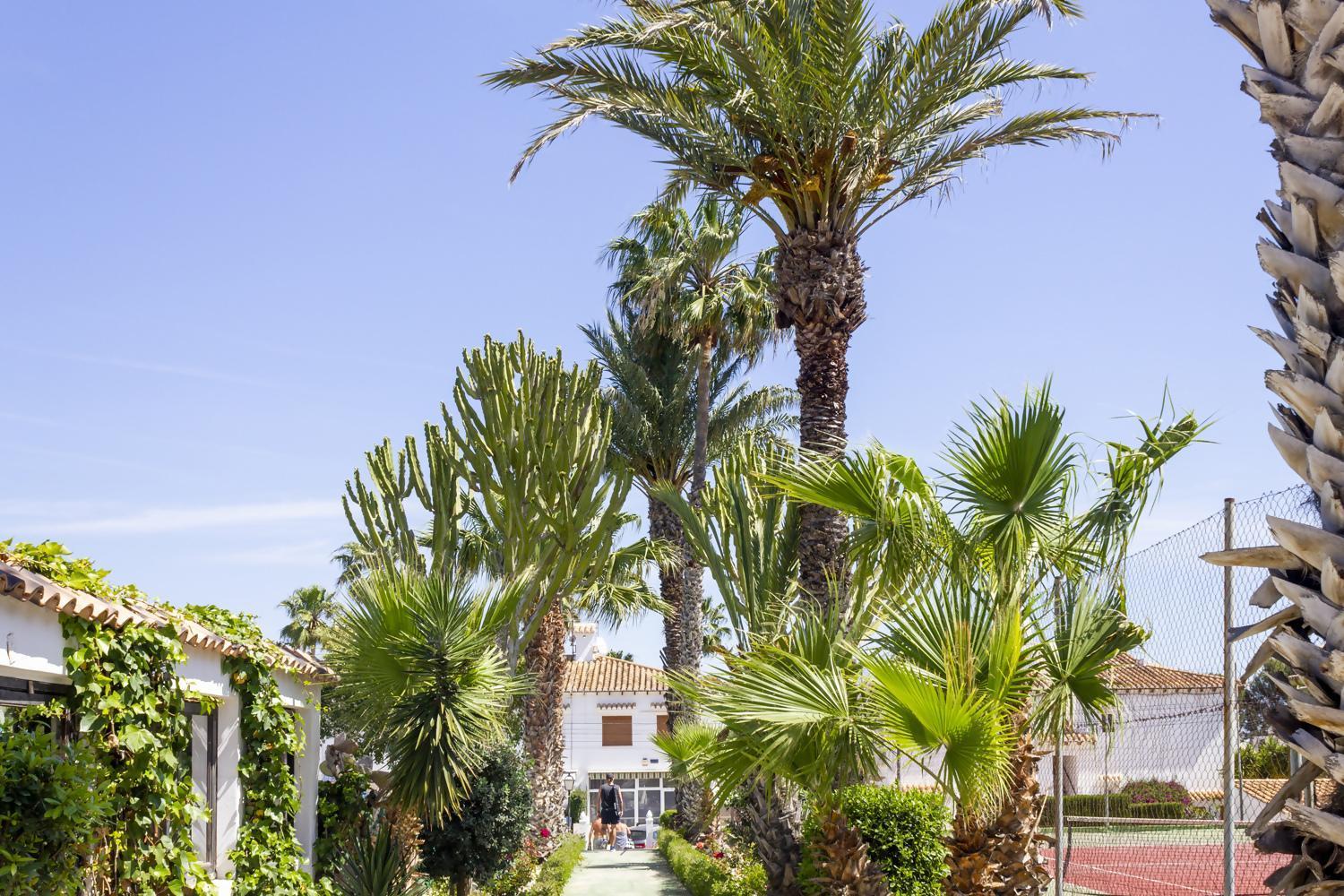Bungalow Pink Palm Beach Torrevieja Luaran gambar